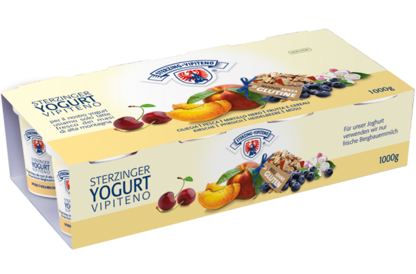 Fruchtjoghurt Sortiment 2 8x125g